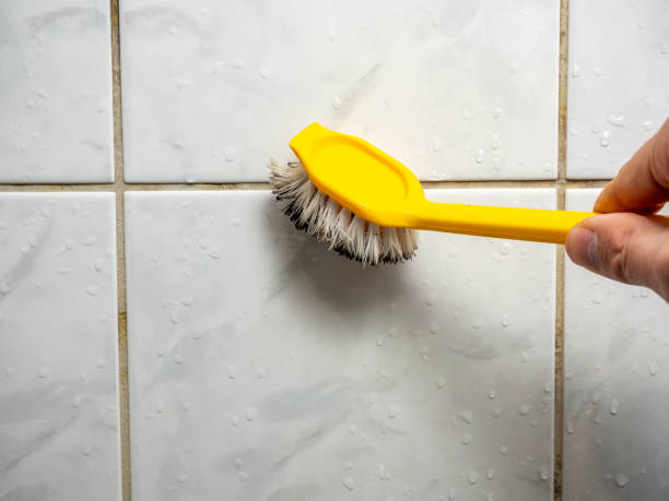 Best Office Mold Removal Services  in Flora Vista, NM