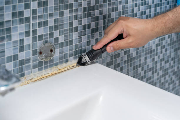 Best Certified Mold Removal  in Flora Vista, NM